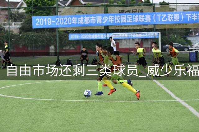 自由市场还剩三类球员 威少乐福领衔失业大军？